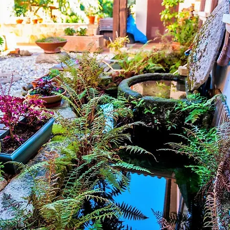 Rustico Fonteverde فندق